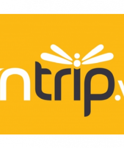 logo vntrip1